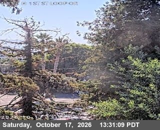 Traffic camera: TVB77 -- I-880 : North First Street